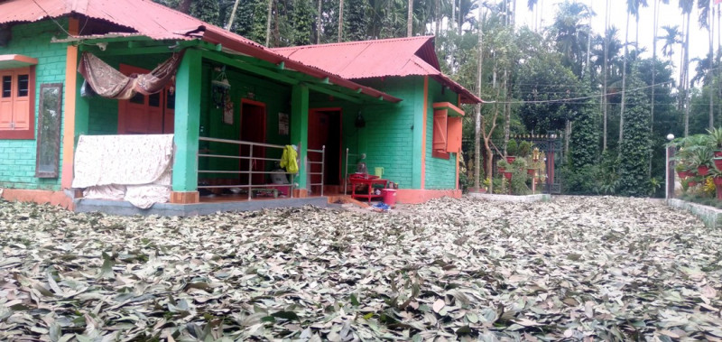 बजार नपाएपछि बाख्रालाई घाँस तेजपत्ता 